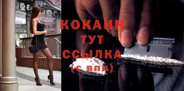 стаф Киренск