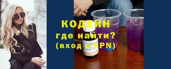 стаф Киренск
