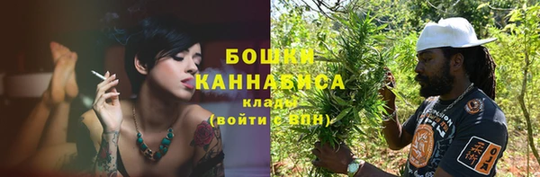 стаф Киренск