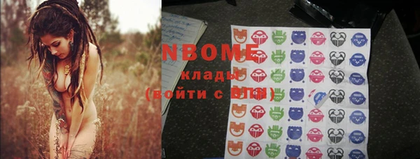 стаф Киренск
