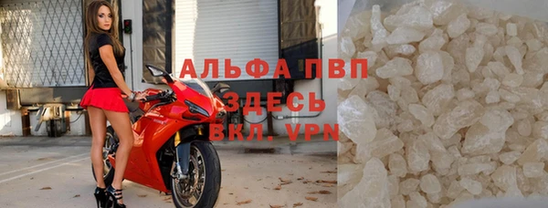 стаф Киренск