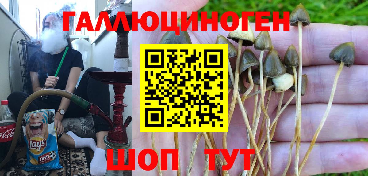 Черемхово  Псилоцибиновые грибы мухоморы  Галлюциногенные грибы мицелий  Вход с VPN 