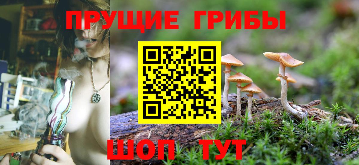 Псилоцибиновые грибы GOLDEN TEACHER Черемхово